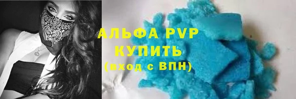 прущие грибы Новый Уренгой