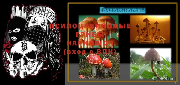 герыч Лиски