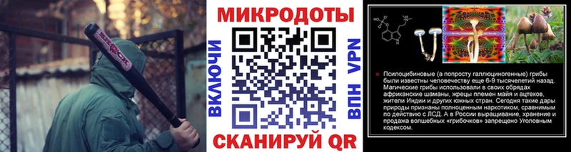 цена Заволжск Псилоцибиновые грибы MAGIC MUSHROOMS